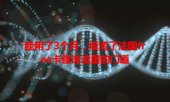 我用了3个月,摸清了法国free卡查询流量的门道
