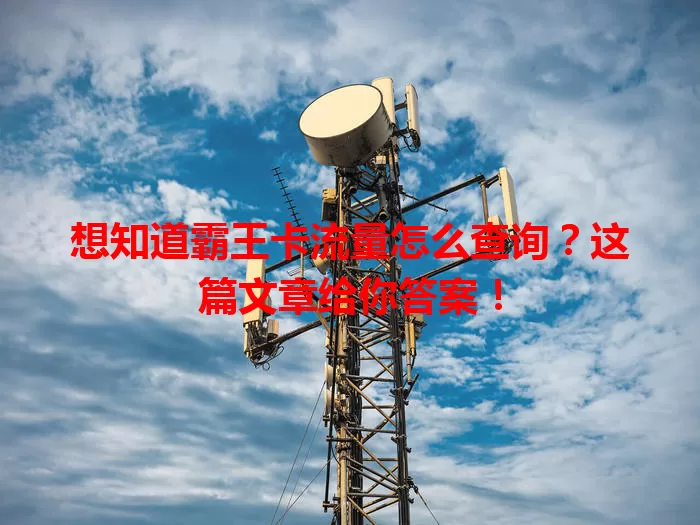 想知道霸王卡流量怎么查询?这篇文章给你答案!