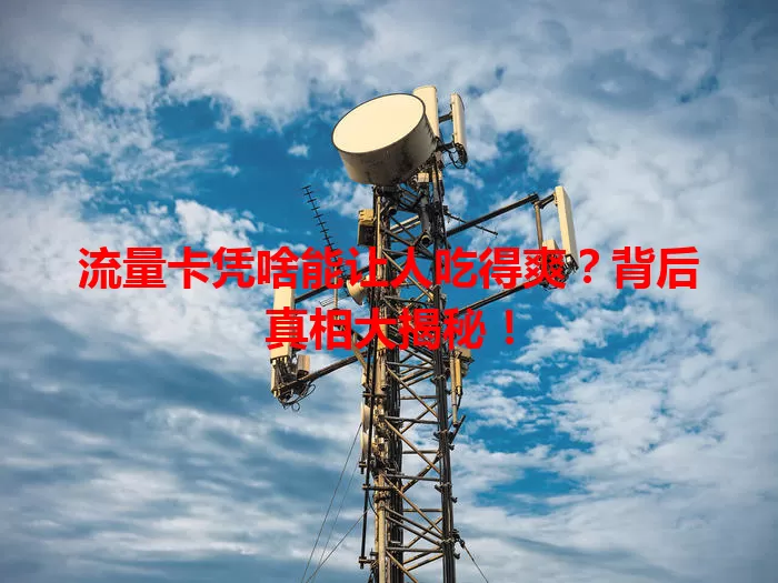 流量卡凭啥能让人吃得爽?背后真相大揭秘!
