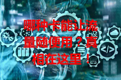 哪种卡能让流量随便用?真相在这里!