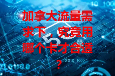 加拿大流量需求下,究竟用哪个卡才合适?