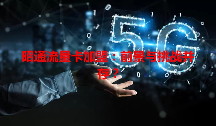 昭通流量卡加盟:前景与挑战并存?