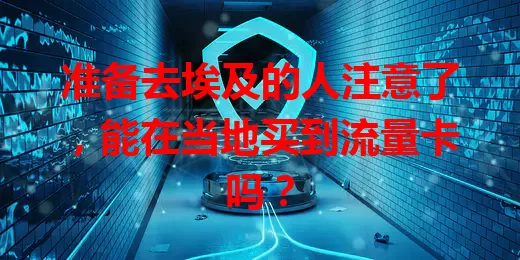 准备去埃及的人注意了,能在当地买到流量卡吗?