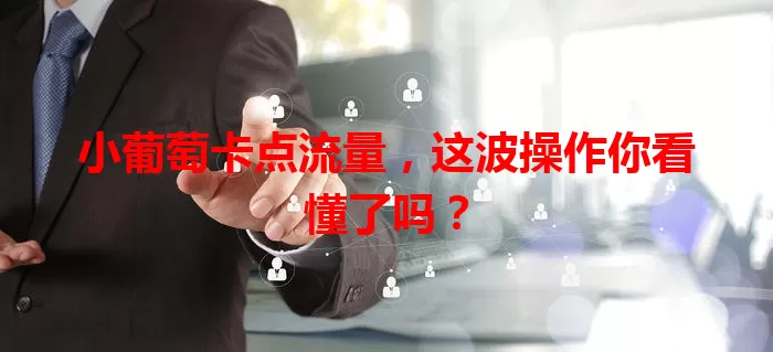 小葡萄卡点流量,这波操作你看懂了吗?