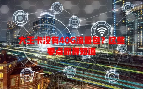 大王卡没有40G流量包？这些要点你得知道