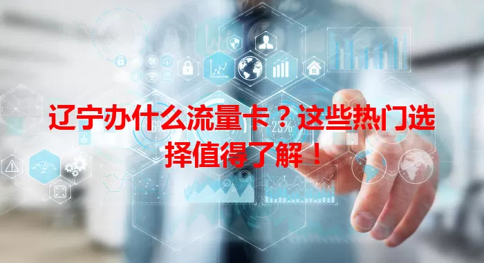 辽宁办什么流量卡?这些热门选择值得了解!