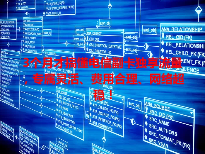 3个月才搞懂电信副卡独享流量,专属灵活、费用合理、网络超稳!