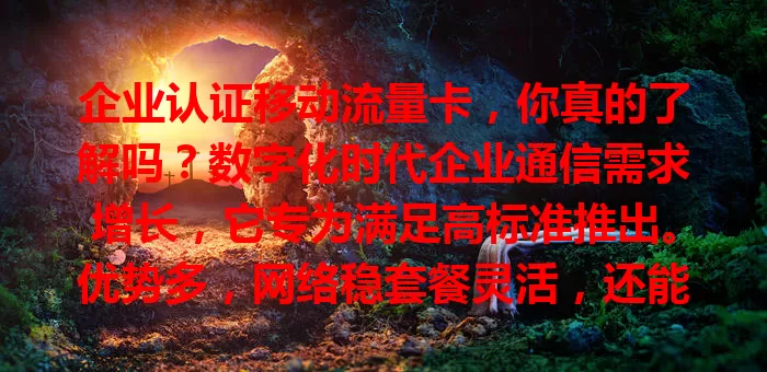 企业认证移动流量卡,你真的了解吗?数字化时代企业通信需求增长,它专为满足高标准推出。优势多,网络稳套餐灵活,还能提升企业形象与员工效率。选时要谨慎,结合需求做明智决策。