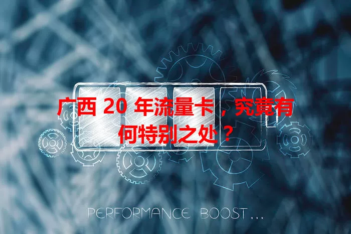 广西 20 年流量卡,究竟有何特别之处?