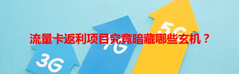 流量卡返利项目究竟暗藏哪些玄机?