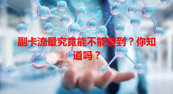 副卡流量究竟能不能查到?你知道吗?