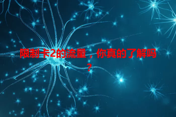 限制卡2的流量,你真的了解吗?