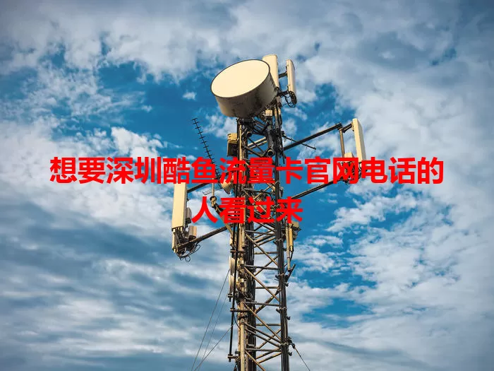 想要深圳酷鱼流量卡官网电话的人看过来