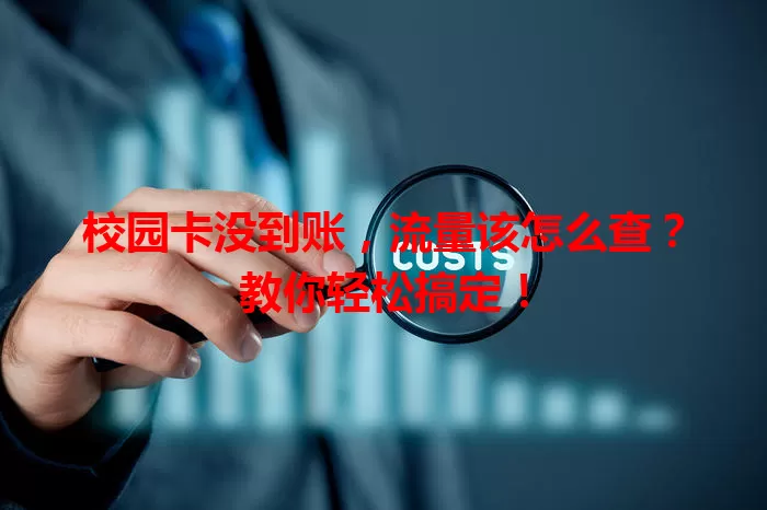 校园卡没到账,流量该怎么查?教你轻松搞定!