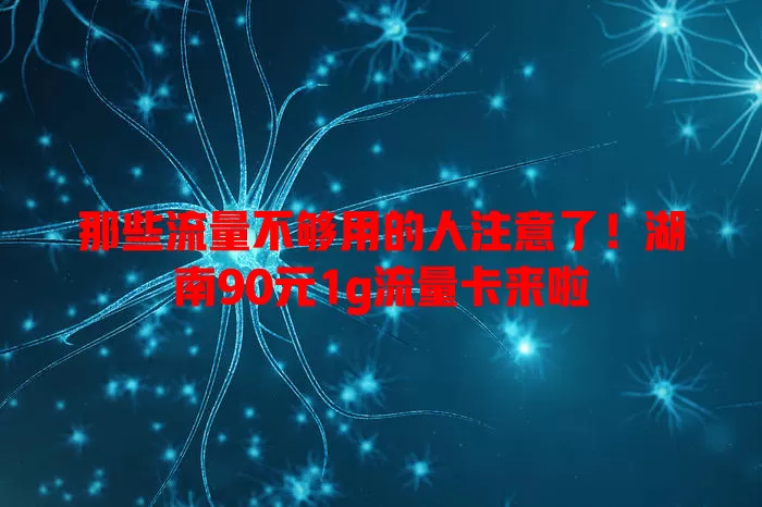 那些流量不够用的人注意了!湖南90元1g流量卡来啦