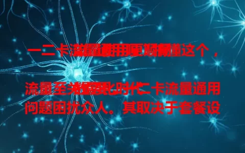 一二卡流量通用吗？搞懂这个，流量使用更顺畅

数字化时代流量至关重要，一二卡流量通用问题困扰众人。其取决于套餐设置，有的通用方便，有的受限。了解是否通用及查询方法，能助用户规划流量，避免超支。