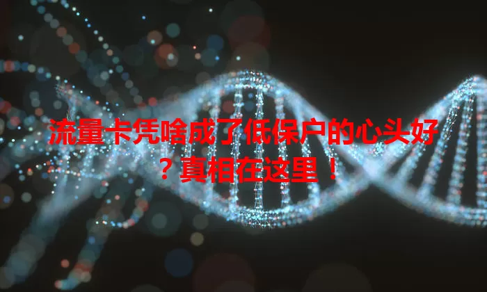 流量卡凭啥成了低保户的心头好?真相在这里!