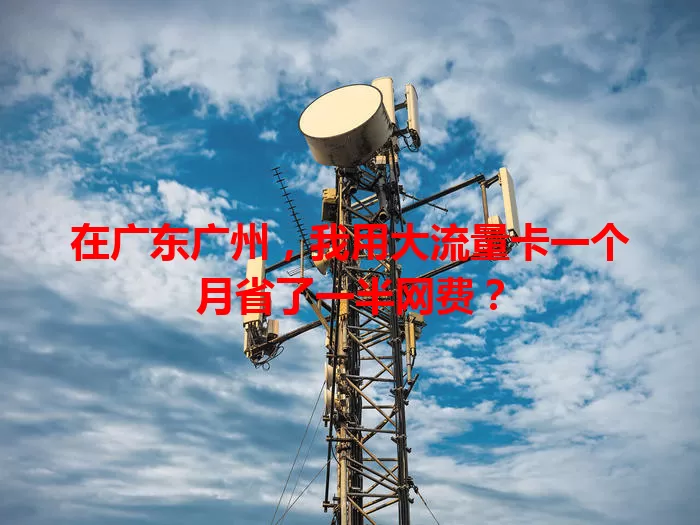 在广东广州,我用大流量卡一个月省了一半网费?