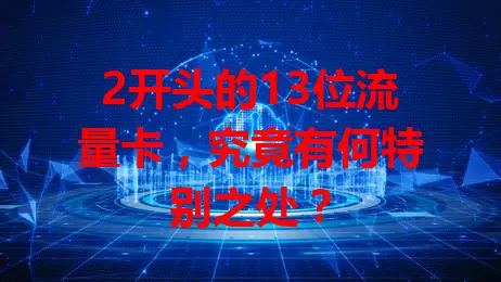 2开头的13位流量卡,究竟有何特别之处?