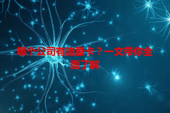 哪个公司有流量卡?一文带你全面了解