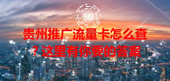 贵州推广流量卡怎么查?这里有你要的答案