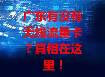 广东有没有无线流量卡?真相在这里!