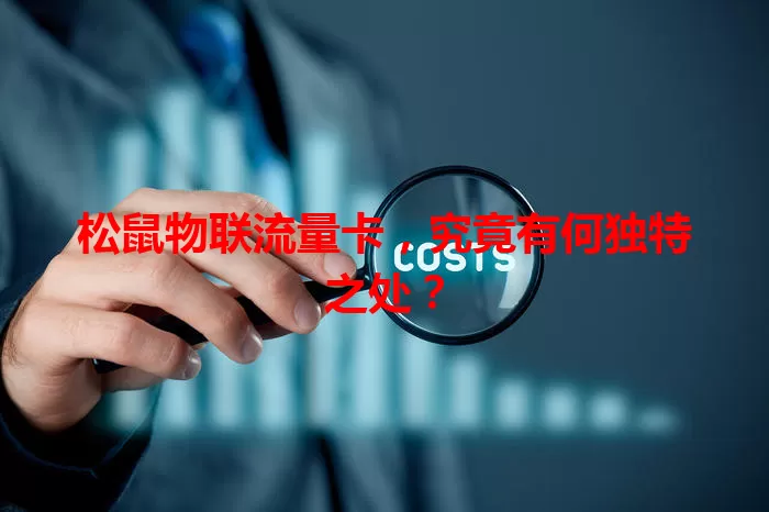 松鼠物联流量卡,究竟有何独特之处?