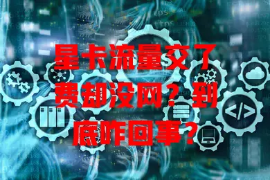 星卡流量交了费却没网?到底咋回事?
