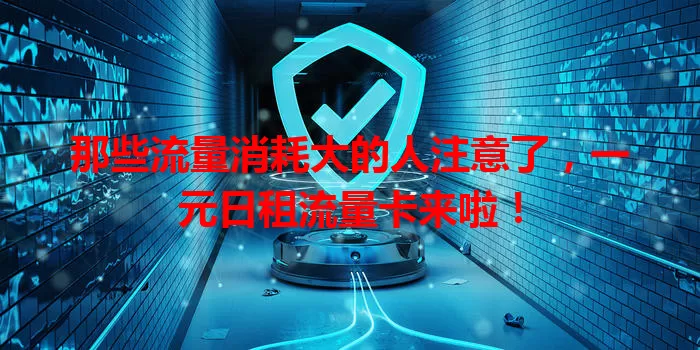 那些流量消耗大的人注意了,一元日租流量卡来啦!