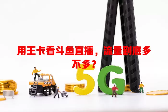用王卡看斗鱼直播,流量到底多不多?