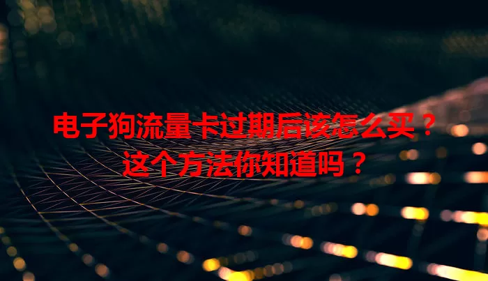电子狗流量卡过期后该怎么买?这个方法你知道吗?