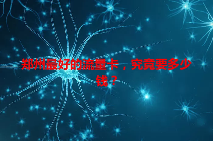 郑州最好的流量卡，究竟要多少钱？