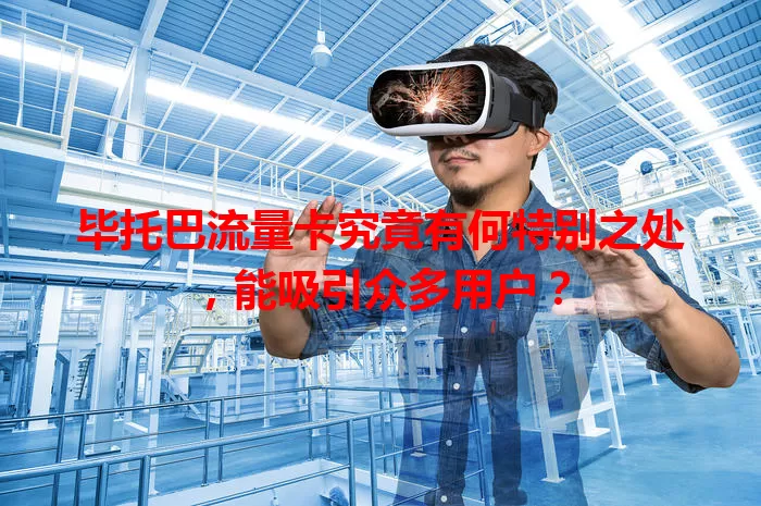 毕托巴流量卡究竟有何特别之处,能吸引众多用户?