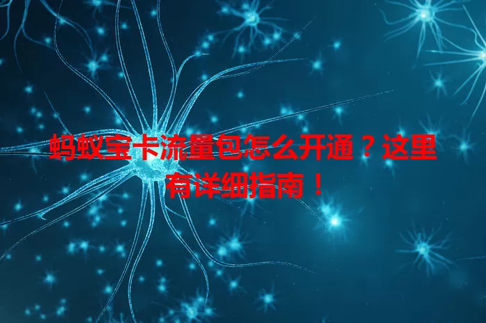 蚂蚁宝卡流量包怎么开通?这里有详细指南!