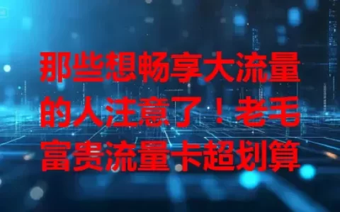 那些想畅享大流量的人注意了！老毛富贵流量卡超划算