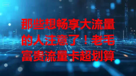 那些想畅享大流量的人注意了!老毛富贵流量卡超划算