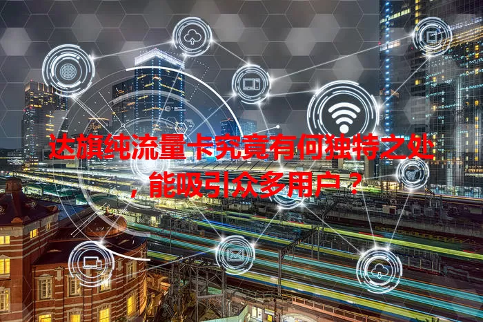 达旗纯流量卡究竟有何独特之处,能吸引众多用户?