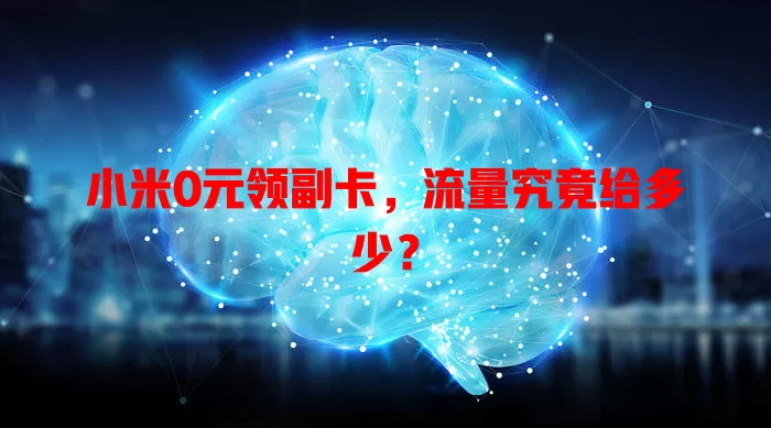 小米0元领副卡,流量究竟给多少?