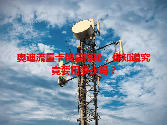 奥迪流量卡用量揭秘,你知道究竟要用多少吗?