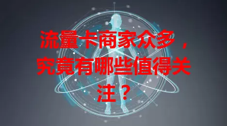 流量卡商家众多,究竟有哪些值得关注?