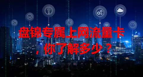 盘锦专属上网流量卡,你了解多少?