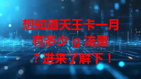 想知道天王卡一月有多少 g 流量?进来了解下!