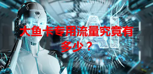 大鱼卡专用流量究竟有多少?
