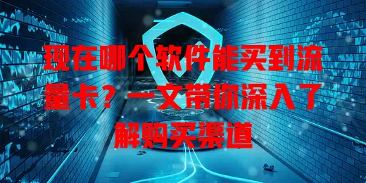 现在哪个软件能买到流量卡?一文带你深入了解购买渠道