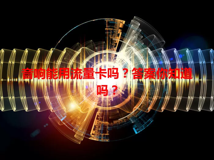 音响能用流量卡吗?答案你知道吗?