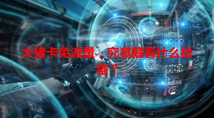 大猪卡免流量,究竟藏着什么秘密?