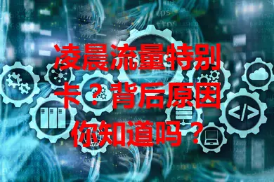 凌晨流量特别卡?背后原因你知道吗?