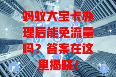 蚂蚁大宝卡办理后能免流量吗?答案在这里揭晓!
