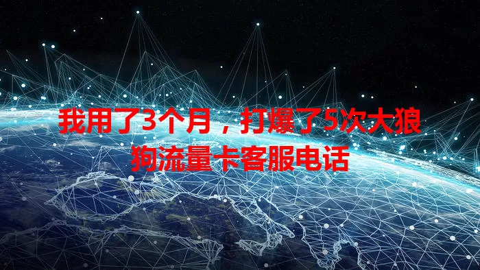 我用了3个月,打爆了5次大狼狗流量卡客服电话