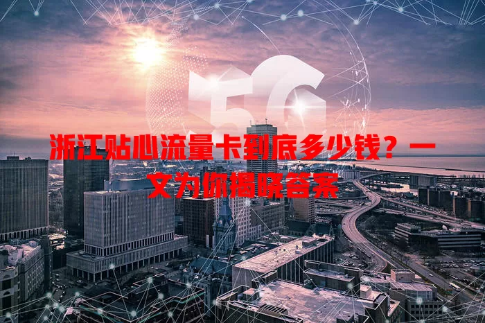 浙江贴心流量卡到底多少钱?一文为你揭晓答案